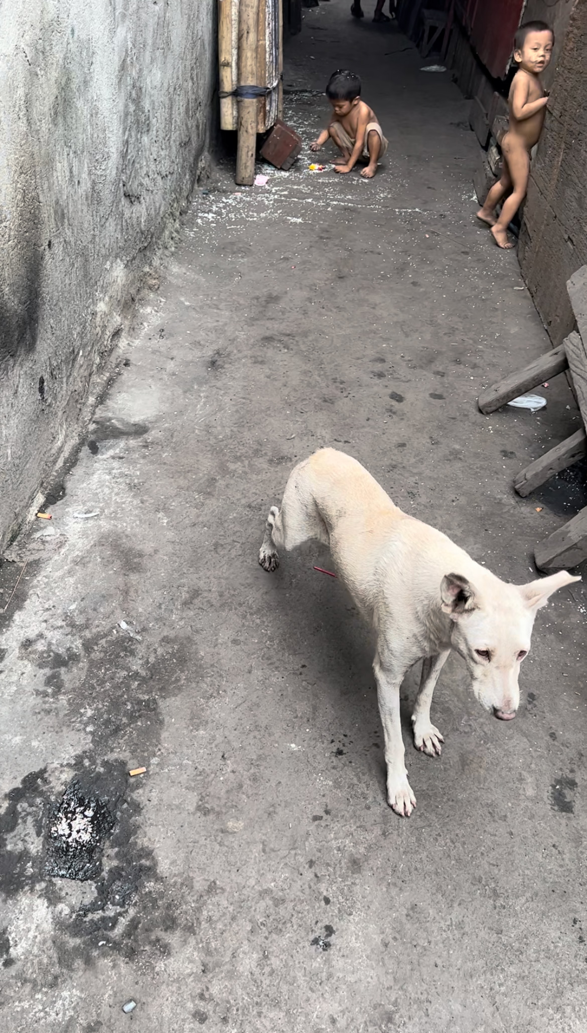 Children and a dog in the slum